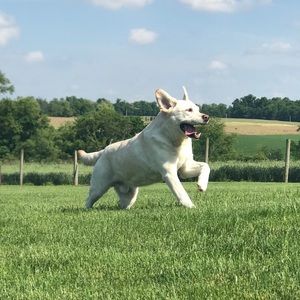 Meet your Posher, Shannon